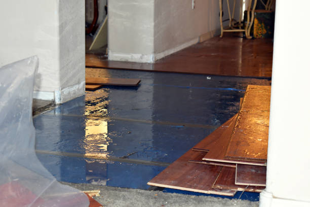 Professional Water Damage Restoration technician working in Aripeka, FL